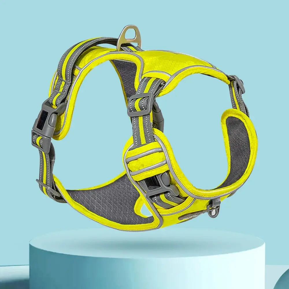 Shaper with built - in bra for added support​Breathable Dog Harness