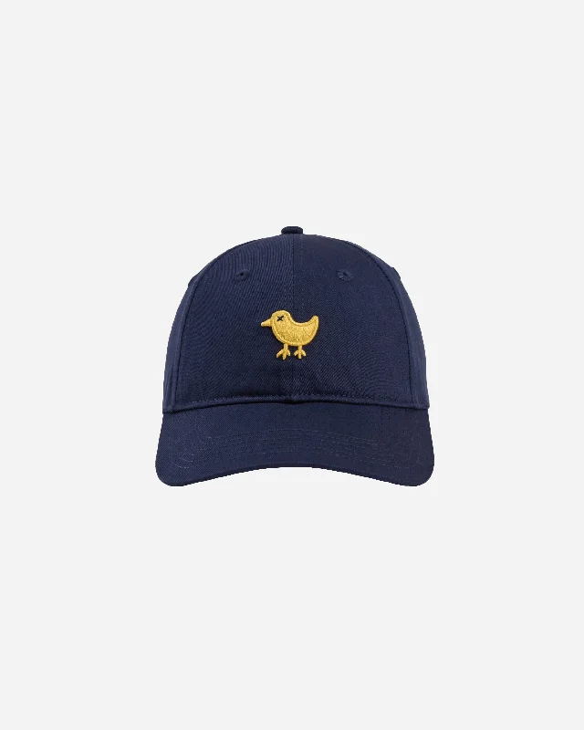 Lycra stockings for a form - fitting shapePresidential Birdie Dad Hat