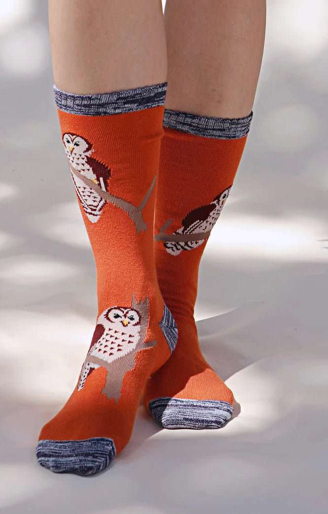 Replant Pairs "Owl"  Organic Cotton Crew Socks