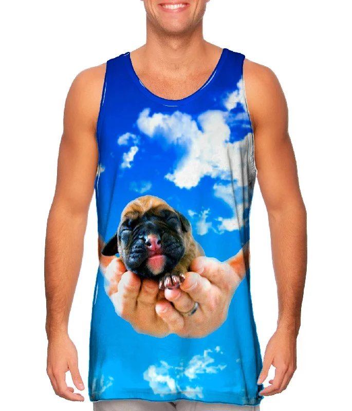 Heavens Hands Boxer Puppy