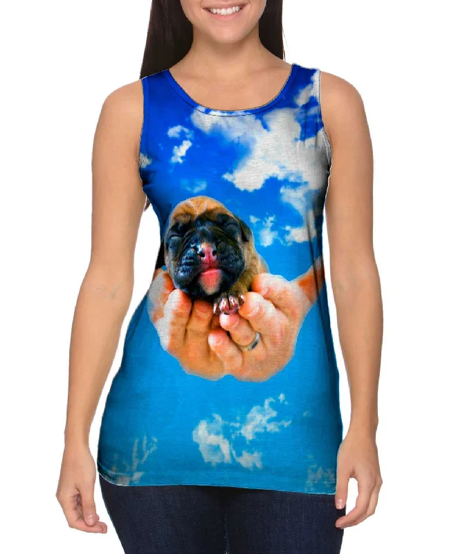 Heavens Hands Boxer Puppy